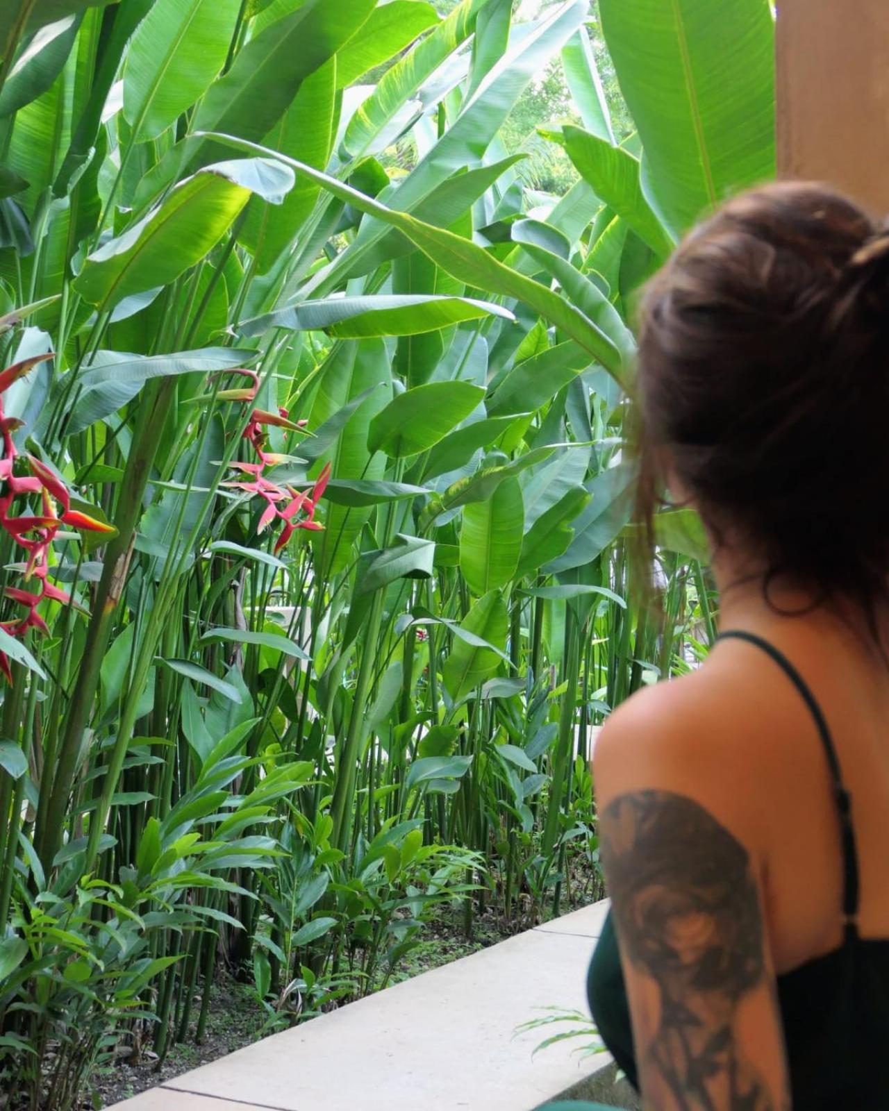 Hotel Maya Bell Palenque Eksteriør bilde
